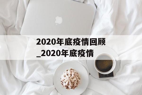 2020年底疫情回顾_2020年底疫情