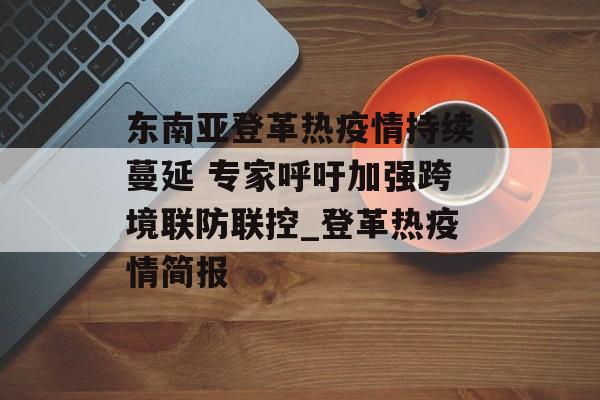东南亚登革热疫情持续蔓延 专家呼吁加强跨境联防联控_登革热疫情简报