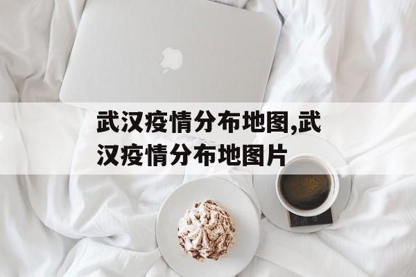 武汉疫情分布地图,武汉疫情分布地图片