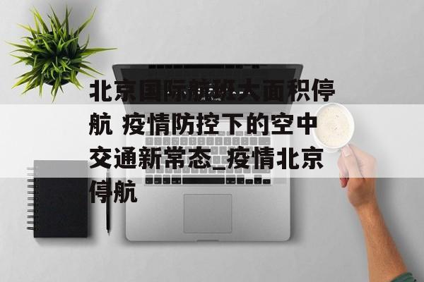 北京国际航班大面积停航 疫情防控下的空中交通新常态_疫情北京停航