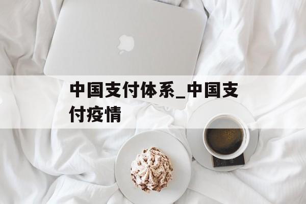 中国支付体系_中国支付疫情