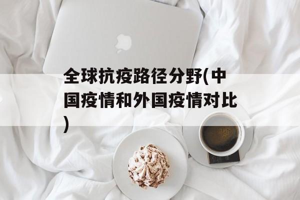 全球抗疫路径分野(中国疫情和外国疫情对比)