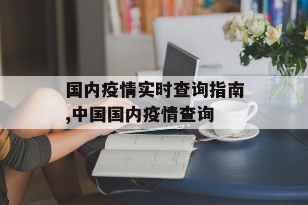 国内疫情实时查询指南,中国国内疫情查询