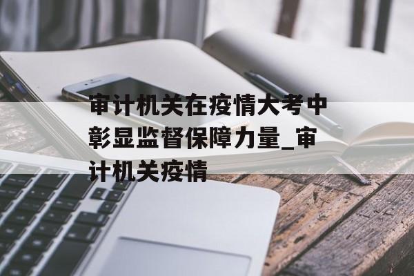 审计机关在疫情大考中彰显监督保障力量_审计机关疫情