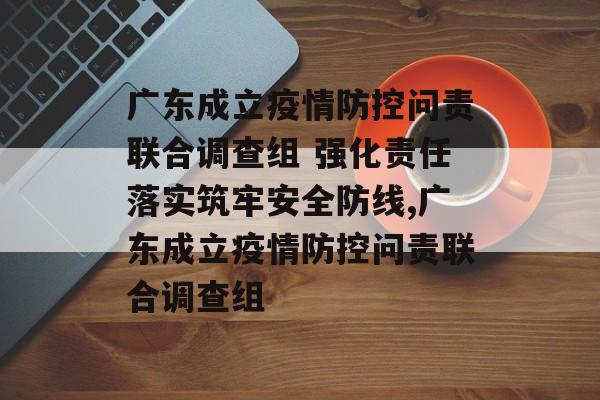 广东成立疫情防控问责联合调查组 强化责任落实筑牢安全防线,广东成立疫情防控问责联合调查组
