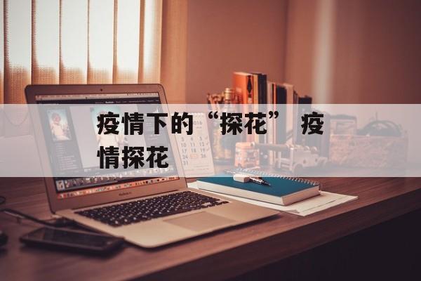疫情下的“探花” 疫情探花