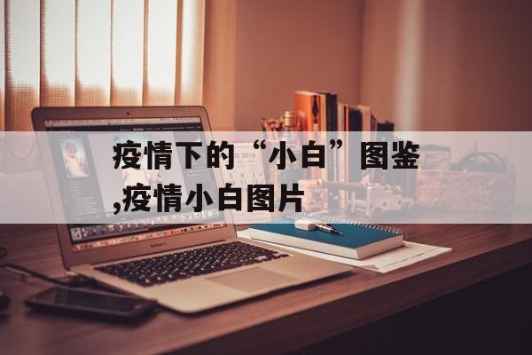 疫情下的“小白”图鉴,疫情小白图片